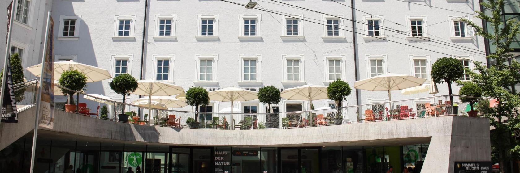 Naturhistoriska museet